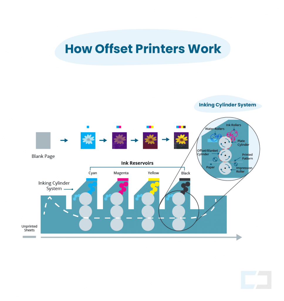 A Step by Step Guide to Understanding the Offset Printing Process